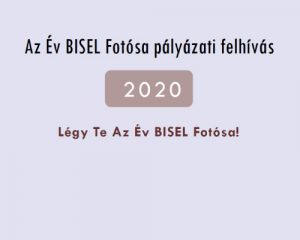 bisel