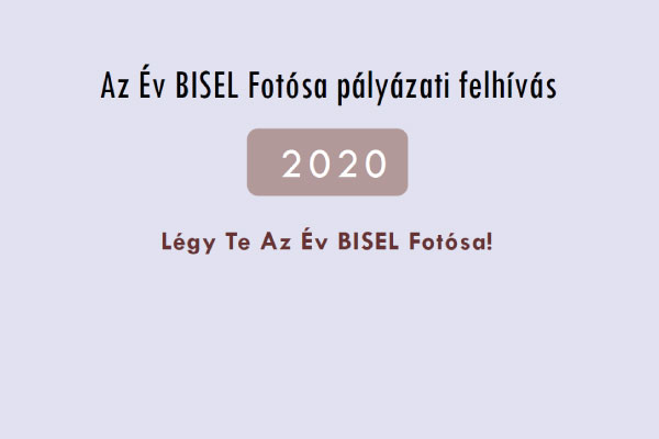 bisel